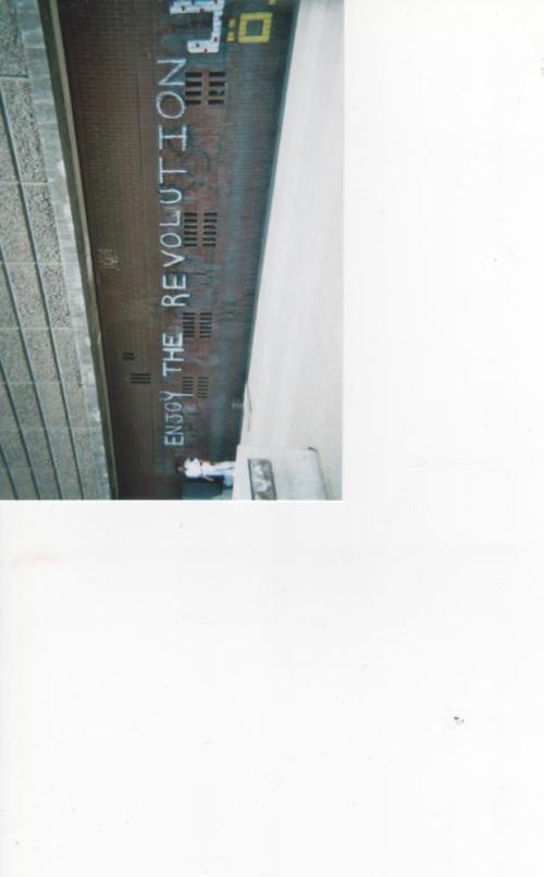 Enjoy_the_revolution