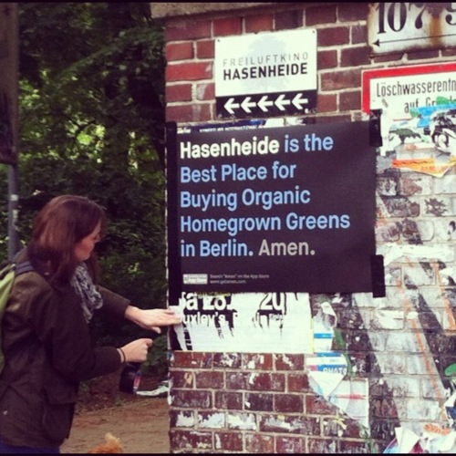 Tumblr_m4fl5dx2he1r1objs