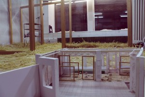 FürchtetEuchNicht (345)