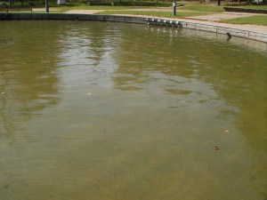 SANYO DIGITAL CAMERA