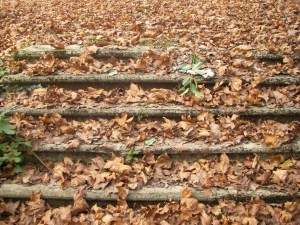 SANYO DIGITAL CAMERA